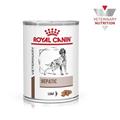 ROYAL CANIN DOG HEPATIC 420 Gr
