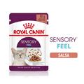 RC CAT SENSORY FEEL GRAVY 85Gr