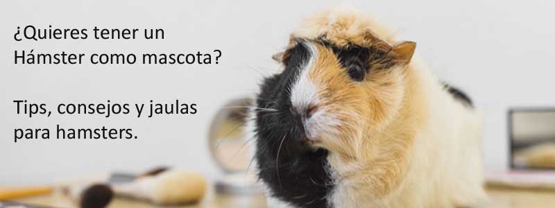 ¿Quieres tener un Hámster como mascota? Tips, consejos y jaulas para hamsters.