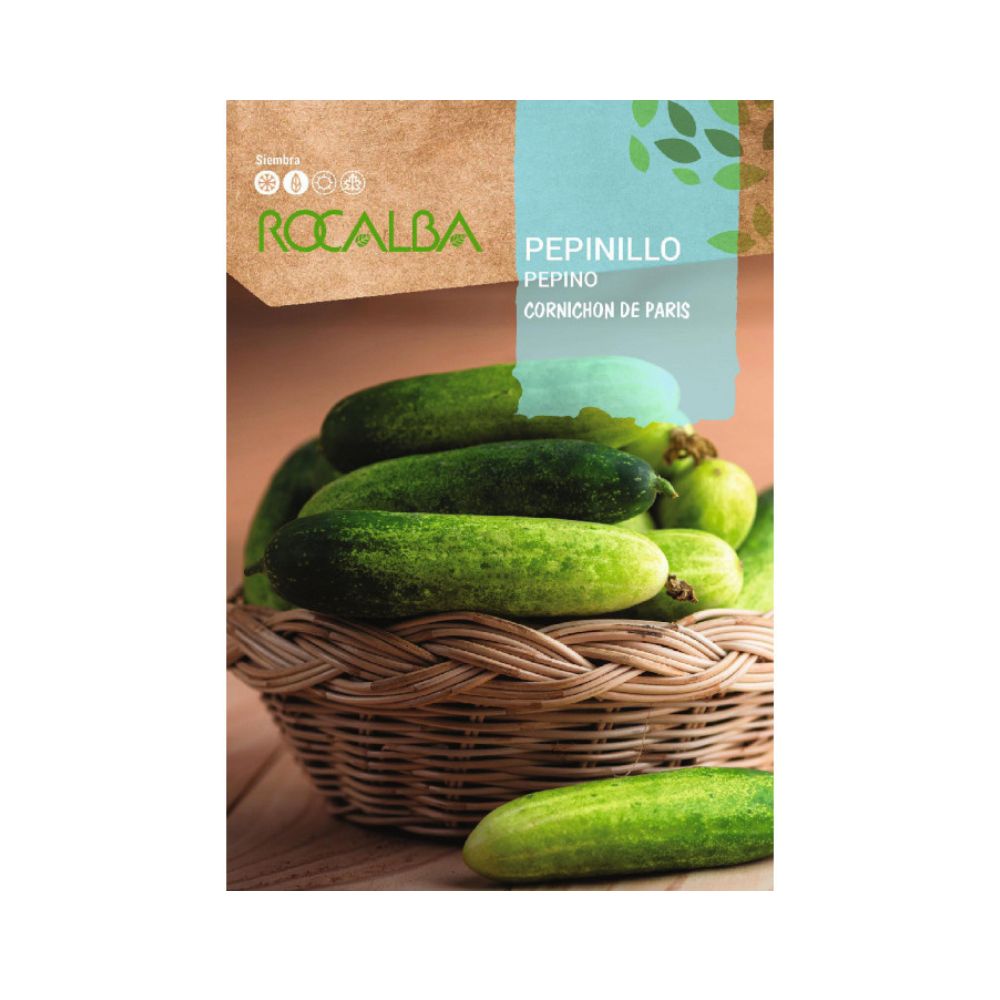 semillas pepinillo cornichon de paris