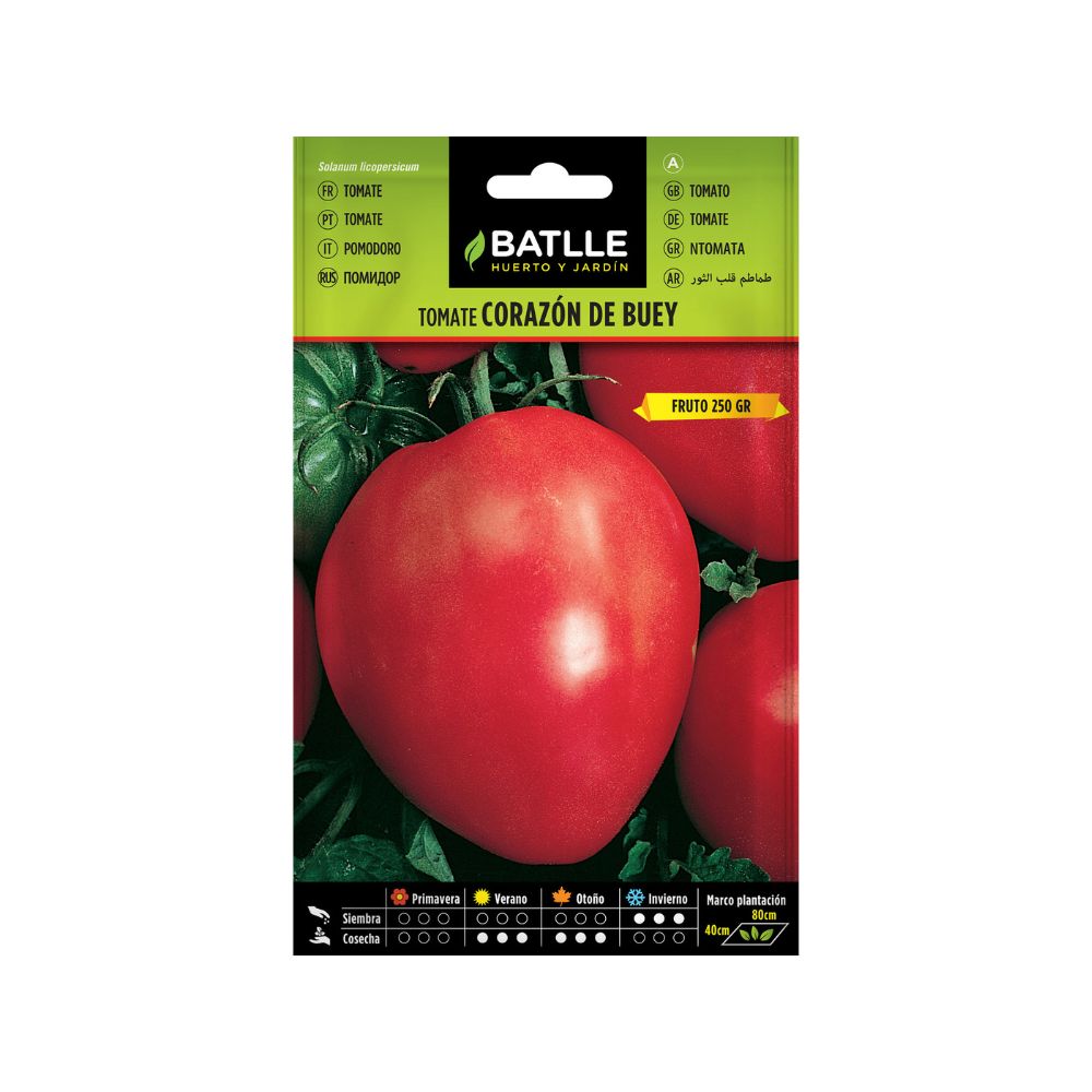 Tomate corazon de buey semillas