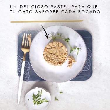 PLATO GOURMET GOLD