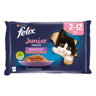 FELIX JUNIOR SELECCION FAVORITOS