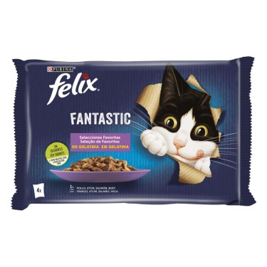 FELIX FANTASTIC SELECCION FAVORITAS