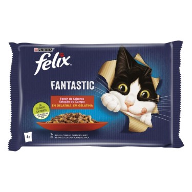 FELIX FANTASTIC FESTIN SABORES