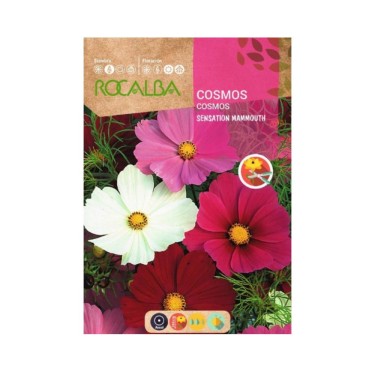Semilla flores cosmos