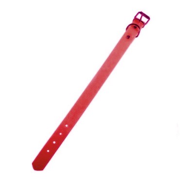 COLLAR BIOTHANE 40 CM ROJO