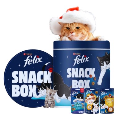 CUBO NAVIDEÑO CAT