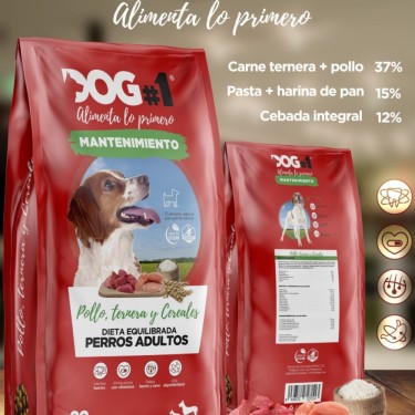 Dog1 Mantenimiento para perros