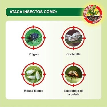 Sanium Insecticida Sistémico 250ml