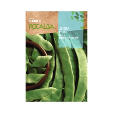 Judia Blace semilla