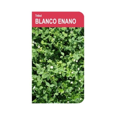 SEMILLAS TREBOL BLANCO 250G