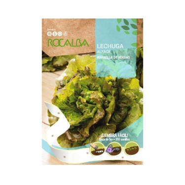 Semillas Lechuga maravilla de verano en cinta