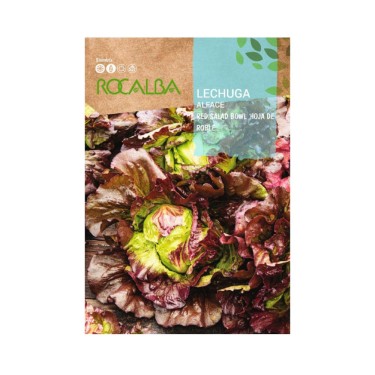 Semillas red salad bowl hoja de roble