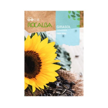 Semilas de Girasol para pipas
