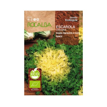 Semillas de Escarola Rizada Pancalieri Ecológicas